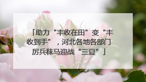 助力“丰收在田”变“丰收到手”，河北各地各部门厉兵秣马迎战“三夏”