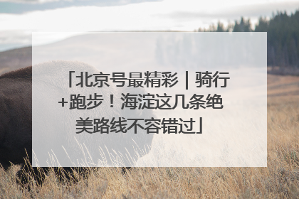 北京号最精彩｜骑行+跑步！海淀这几条绝美路线不容错过