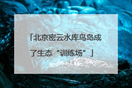 北京密云水库鸟岛成了生态“训练场”