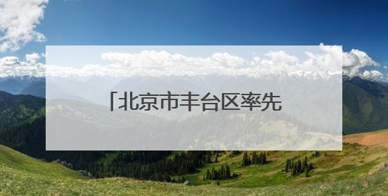北京市丰台区率先在全市推行实施“青苗培优”计划
