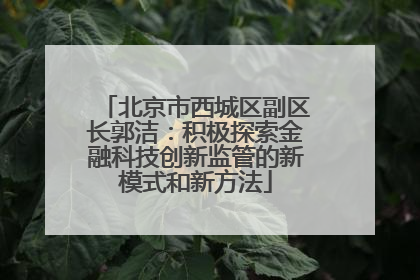 北京市西城区副区长郭洁：积极探索金融科技创新监管的新模式和新方法