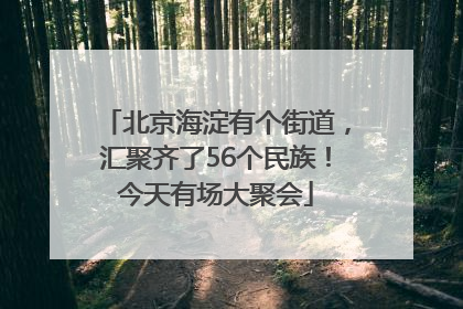 北京海淀有个街道，汇聚齐了56个民族！今天有场大聚会