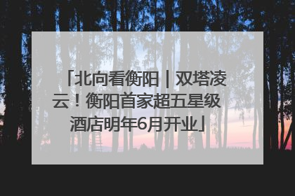 北向看衡阳｜双塔凌云！衡阳首家超五星级酒店明年6月开业