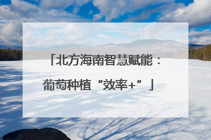 北方海南智慧赋能：葡萄种植“效率+”