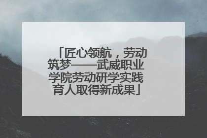 匠心领航，劳动筑梦——武威职业学院劳动研学实践育人取得新成果