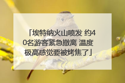 埃特纳火山喷发 约40名游客紧急撤离 温度极高感觉要被烤焦了