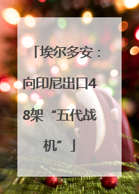 埃尔多安：向印尼出口48架“五代战机”