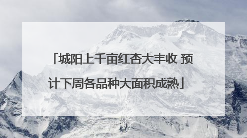 城阳上千亩红杏大丰收 预计下周各品种大面积成熟