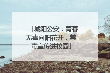 城阳公安：青春无毒向阳花开，禁毒宣传进校园