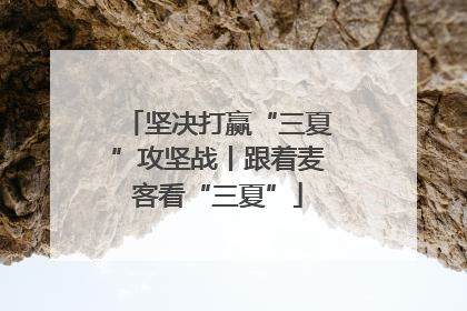 坚决打赢“三夏”攻坚战丨跟着麦客看“三夏”