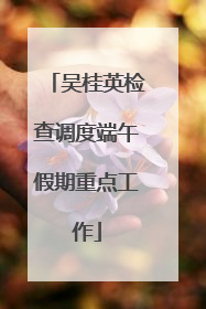 吴桂英检查调度端午假期重点工作