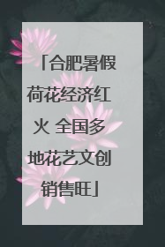 合肥暑假荷花经济红火 全国多地花艺文创销售旺