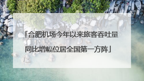 合肥机场今年以来旅客吞吐量同比增幅位居全国第一方阵