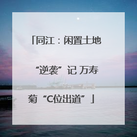 同江：闲置土地“逆袭”记 万寿菊“C位出道”