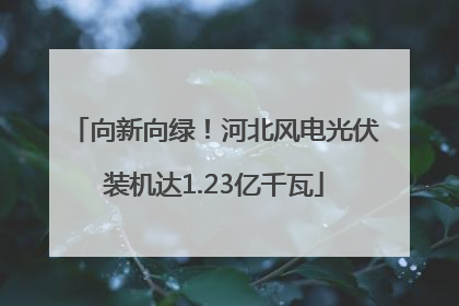 向新向绿！河北风电光伏装机达1.23亿千瓦