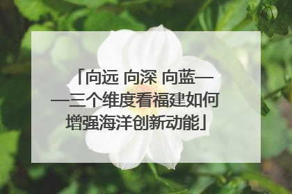 向远 向深 向蓝——三个维度看福建如何增强海洋创新动能