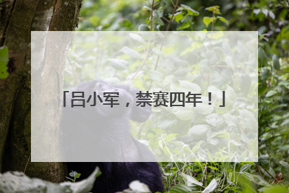 吕小军，禁赛四年！