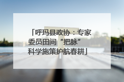 呼玛县政协：专家委员田间“把脉” 科学施策护航春耕