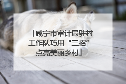 咸宁市审计局驻村工作队巧用“三招”点亮美丽乡村