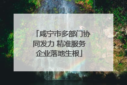 咸宁市多部门协同发力 精准服务企业落地生根