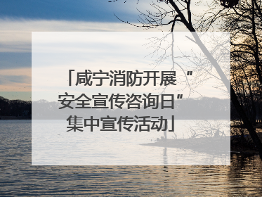 咸宁消防开展“安全宣传咨询日”集中宣传活动