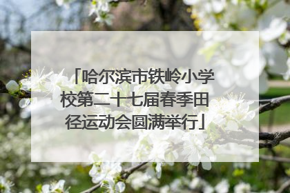 哈尔滨市铁岭小学校第二十七届春季田径运动会圆满举行
