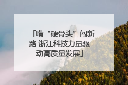 啃“硬骨头”闯新路 浙江科技力量驱动高质量发展