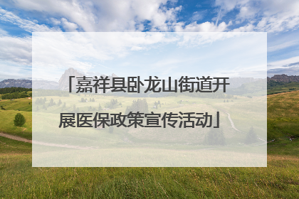 嘉祥县卧龙山街道开展医保政策宣传活动