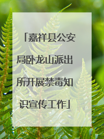 嘉祥县公安局卧龙山派出所开展禁毒知识宣传工作