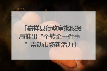 嘉祥县行政审批服务局推出“个转企一件事”带动市场新活力
