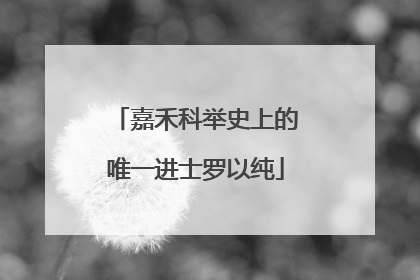 嘉禾科举史上的唯一进士罗以纯