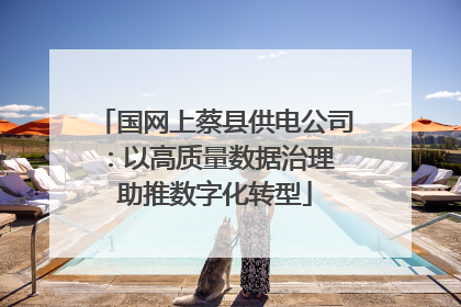 国网上蔡县供电公司：以高质量数据治理 助推数字化转型
