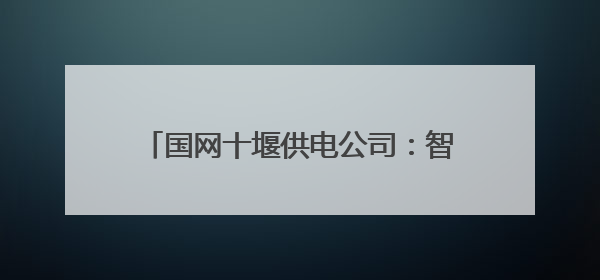 国网十堰供电公司：智能机器人护航高考保电