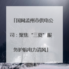 国网孟州市供电公司：聚焦“三夏”服务护航电力清风