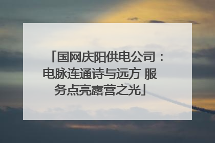 国网庆阳供电公司：电脉连通诗与远方 服务点亮露营之光