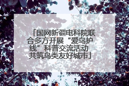国网新疆电科院联合多方开展“爱鸟护线”科普交流活动 共筑鸟类友好城市