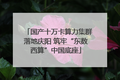 国产十万卡算力集群落地庆阳 筑牢“东数西算”中国底座