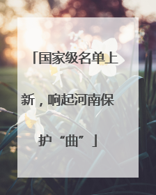 国家级名单上新，响起河南保护“曲”