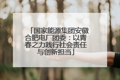 国家能源集团安徽合肥电厂团委：以青春之力践行社会责任与创新担当