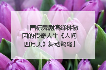 国标舞剧演绎林徽因的传奇人生《人间四月天》舞动鹭岛