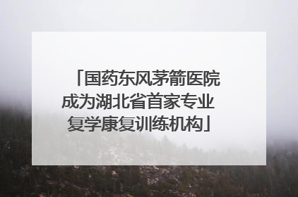 国药东风茅箭医院成为湖北省首家专业复学康复训练机构