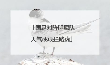 国足对阵印尼队 天气或成拦路虎