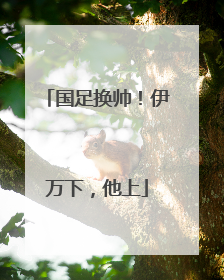 国足换帅！伊万下，他上