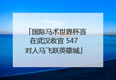 国际马术世界杯赛在武汉收官 547对人马飞跃英雄城