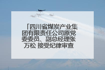 四川省煤炭产业集团有限责任公司原党委委员、副总经理张万松 接受纪律审查和监察调查