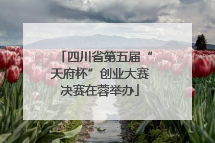 四川省第五届“天府杯”创业大赛决赛在蓉举办