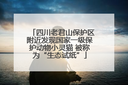 四川老君山保护区附近发现国家一级保护动物小灵猫 被称为“生态试纸”