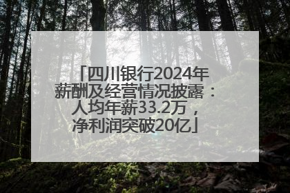 四川银行2024年薪酬及经营情况披露：人均年薪33.2万，净利润突破20亿
