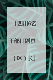 四川6名干部任副县（区）长