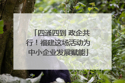 四通四到 政企共行！福建这场活动为中小企业发展赋能